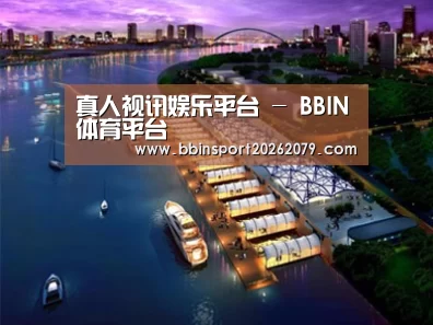案例展示八