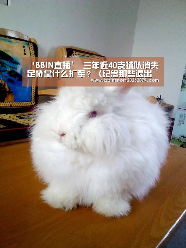‘BBIN直播’
三年近40支球队消失 足协拿什么扩军?(纪念那些退出足坛的球队)(图1) BBIN登录
