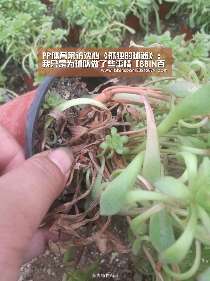 PP体育采访沈心《孤独的球迷》:我只是为球队做了些事情【BBIN百家乐】(图2) BBIN百家乐