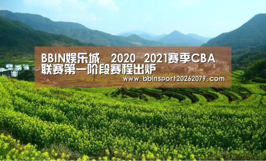 BBIN娱乐城